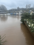 Millbrook Garden Centre after Storm Bert